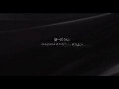 Folha de bordo 80V de Geely