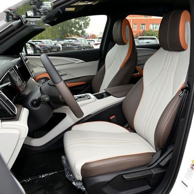 LHD que dirige auto veículos elétricos