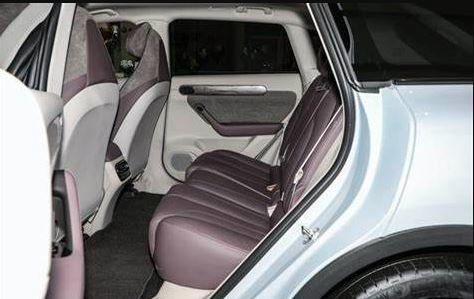 Veículos elétricos de alta velocidade automotivos SUV New Energy Lingpao C11 para adultos