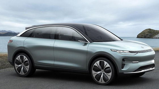 Veículos elétricos de alta velocidade automotivos SUV New Energy Lingpao C11 para adultos