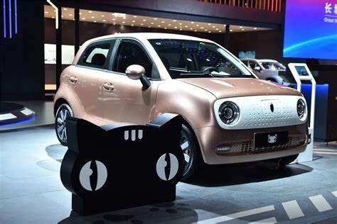 Preto elétrico Cat New Energy Vehices 102km/h de Euler dos carros de 351KM mini EV para a senhora