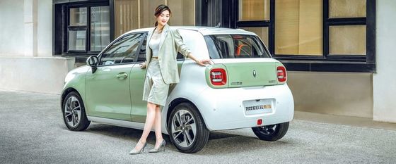 Preto elétrico Cat New Energy Vehices 102km/h de Euler dos carros de 351KM mini EV para a senhora