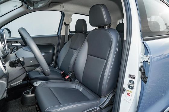 Preto elétrico Cat New Energy Vehices 102km/h de Euler dos carros de 351KM mini EV para a senhora