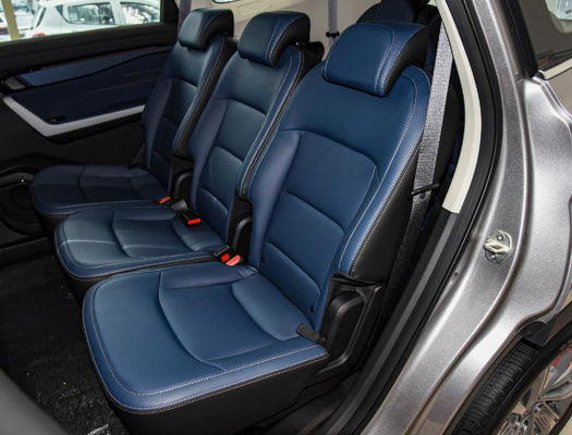 Nova Energia Elétrica SUV grande Ruilan 9 Carro de Família Elétrico 7 lugares 163km / h