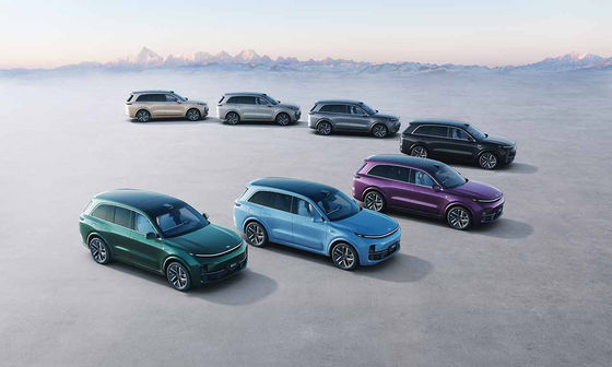 42.8kWh bateria 6 Seat SUV elétrico