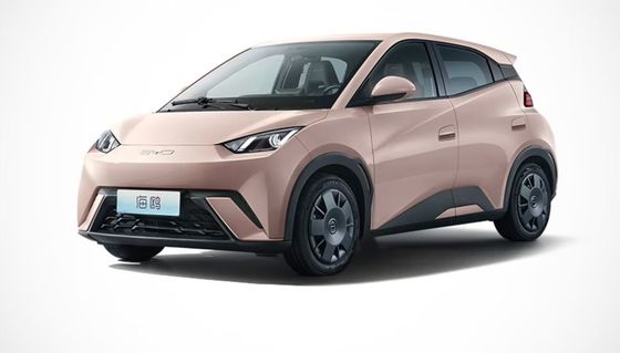 Alto desempenho em 2023 Novo Byd Seagull EV totalmente fechado 4 rodas carro elétrico