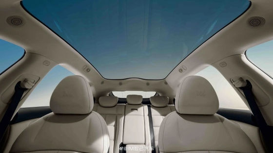 Zhiji LS6 Potência máxima de 575kw Todos os carros elétricos com velocidade máxima de 252kmh Veículo esportivo elétrico