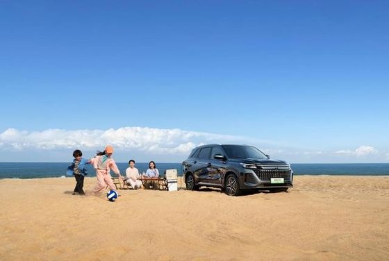 Mais novo PHEV SERES Alto desempenho Médio tamanho 7 lugares Plug In SUV híbrido SERES LANDIAN E5